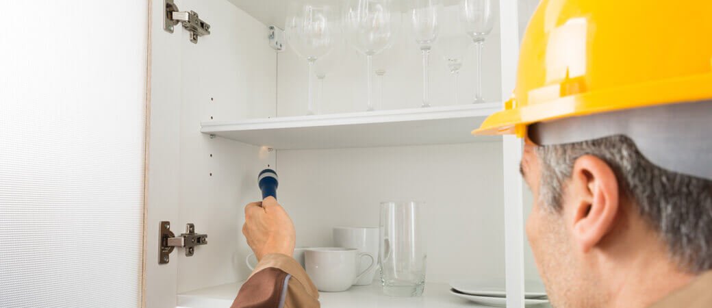 dedetização dedetizadora pronto atendimento