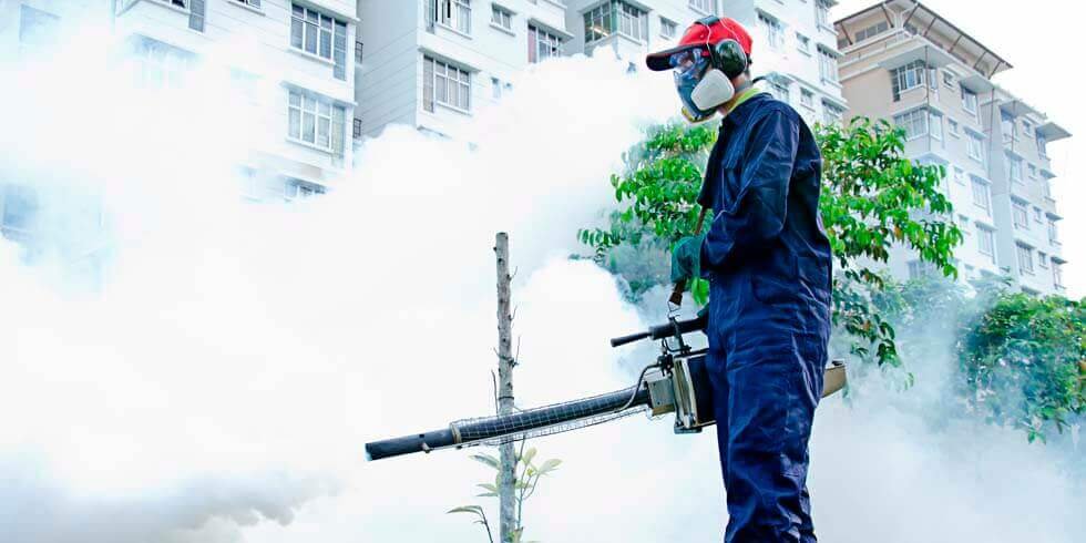 Dedetizadora Rio de Janeiro e Região