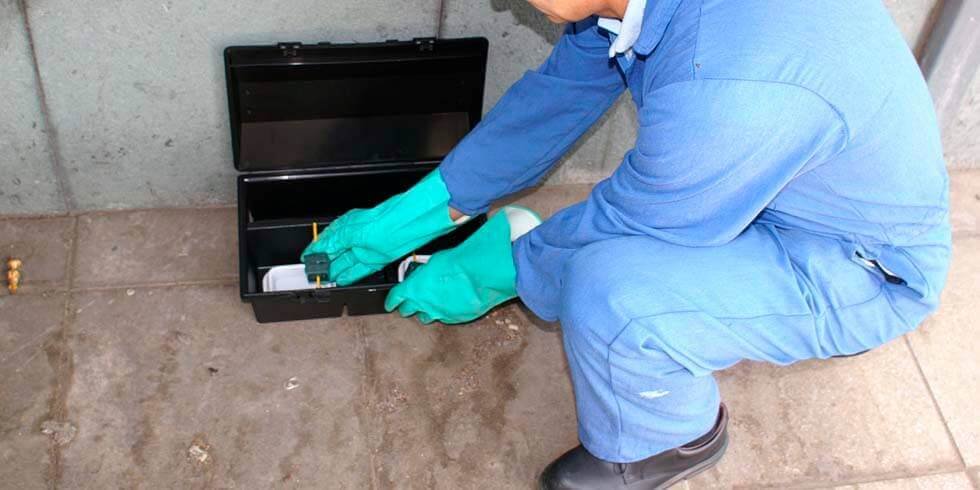 Dedetizadora Rio de Janeiro e Região