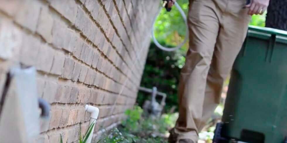 Dedetizadora Rio de Janeiro e Região